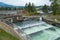 The Fishway on Bradford Island at the Bonneville Dam, Cascade Locks, Oregon, USA