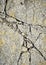 Fissured surface of granite rocks