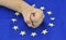 Fist hand and European flag september 11, 2016