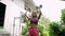Fit biethnic woman trains outdoors, lifting dumbbells for shoulder press. Athletic female in fitness gear focuses on