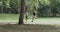 Fit couple running a trail in a park or forest outdoors. Motivated and determined young athletes jogging with speed to
