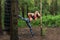 Fit girl beat high leg side kick working out outdoors. Woman fighter exercising, doing kickboxing training martial arts