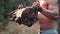 Fit strong man lifting a log in a forest