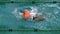 Fit swimmer doing the butterfly stroke in the swimming pool