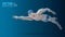 Fit swimmer training in the swimming pool. Professional male swimmer inside swimming pool. Butterfly stroke. A man dives into the