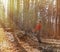 Fit woman hiker enjoying the nature, throwing leaves