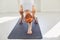 Fit woman practicing yoga on mat