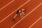 Fit woman on stadium red racetrack