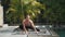 Fitness caucasian sporty man doing yoga and stretching muscles.
