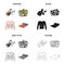 Fitness coach, fruit salad, male torso, gymnastic mat. Fitness set collection icons in cartoon black monochrome outline