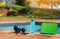 Fitness concept image of a dumbbell, a jump rope, a bottle of water and a computer for online workouts near the pool