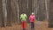 Fitness for elderly women in autumn park - nordic walking among autumn park