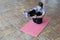 Fitness exercise to strengthen the abdominals. A girl in a gray T-shirt on a pink rug raises her legs. Athletic woman training in