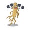 Fitness ginseng isolated with in the cartoon