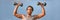 Fitness gym banner man lifting dumbbell weights. Panorama horizontal crop with copy space of athlete with muscular arms