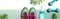 Fitness shoes and dumbbells with tropical plants