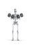 Fitness skeleton with dumbbells