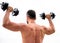 Fitness and sport equipment. athletic body. Dumbbell gym. man sportsman weightlifting. steroids. Muscular back man