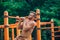 Fitness, sport, exercising, training and lifestyle concept - young man doing pull ups on horizontal bar outdoors.