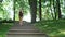 Fitness woman running up stairs while morning jogging at summer park