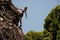 Fitted girl posing on a rock wall