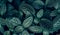 Fittonia albivenis Background White stripes leaf background blue background