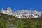 Fitz Roy mount, El Chalten, Patagonia, Argentina