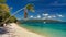 Fitzroy Island near Cairns Australia, palm, beach,