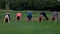 Five adult people standing in yoga position on green grass.