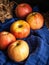 Five apples on a simple wooden rustic background, with a blue textured cloth