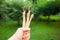 Five bamboo toothbrushes in a hand outdoors