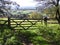 Five Bar Gate With A Country View