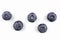Five berries of blueberry are on a white background.