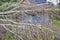 Five big birch trees are downed in garden on wooden roof garage after strong tornado and wing storm. Disaster for insurance