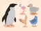 five birds animals icons