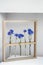 Five blue nice cornflowers in a little vases in a wooden frame over grey