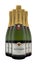 Five Bottles of Taittinger Brut Champagne on a white background