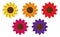 Five bright colourful flowers, sunflowers, isolated, vector illustration