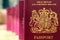 Five British United Kingdom European Union Biometric passports q