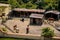 Five brown horses in wooden paddock, packs of horses, old barn, green trees, sand cover, fences and outbuildings on equestrian