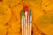 Five brushes for painting on colorful fall leaves