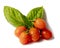 Five cherry tomatoes on with a basil leafs on a white  background