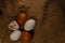 Five chicken eggs are white and brown and the spikelets lie on the burlap.