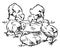 Five Chicks, vintage illustration