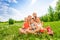 Five children sit together on a meadow