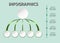Five circle infographics vector template in green color
