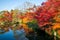 Five color autumn trees in zen garden with water reflection