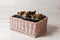 Five cute basenji puppies in basket
