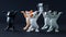 Five cute toy kittens carry a black coffin on a dark background. Concept of a funeral procession dancing with coffin. Stay at home