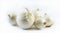 Five detailed white onions in different positions on a white background - composition